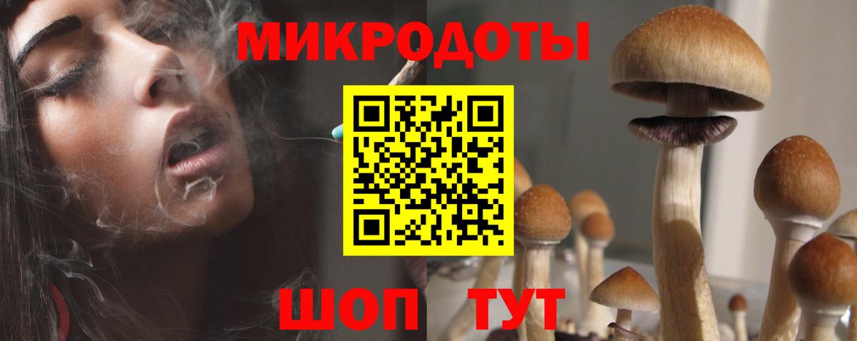 Галлюциногенные грибы MAGIC MUSHROOMS Екатеринбург